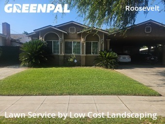 Grass Cut nearby Fresno, CA, 