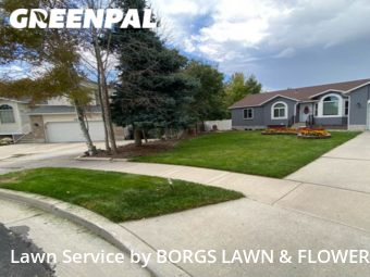 Grass Cutting nearby West Valley City, UT, 