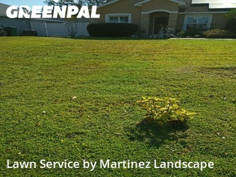 Lawn mowed in Eustis, 32726
