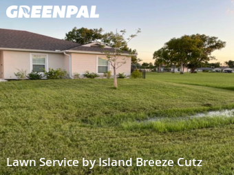 Lawn Cut nearby Punta Gorda, FL, 