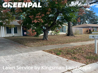 Grass Cutting nearby Brandon, FL, 