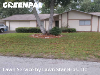 Lawn Mow nearby Spring Hill, FL, 