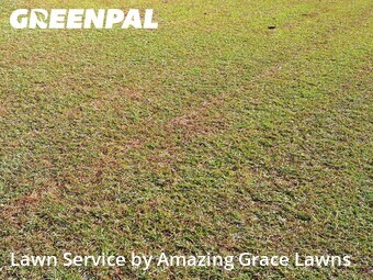 Lawn Care Service nearby Lawrenceville, GA, 