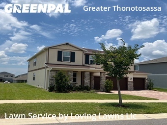 Lawn Cut nearby Seffner, FL, 