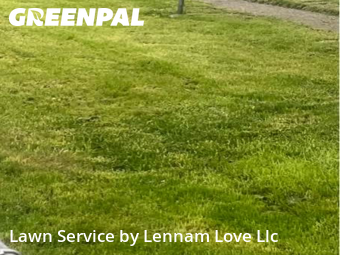 Lawn Cut nearby Harvey, IL, 