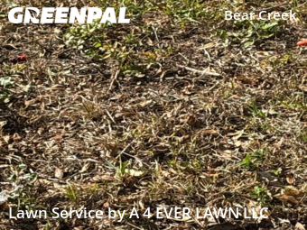 Lawn Mowing nearby New Port Richey, FL, 