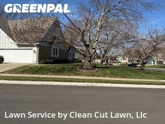 Grass Cut nearby Lee's Summit, MO, 