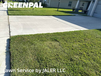 Yard Cutting nearby Palmetto, FL, 