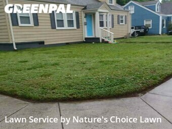 Grass Cut nearby Norfolk, FL, 