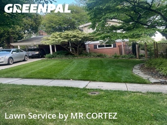 Yard Cutting nearby Silver Spring, MD, 