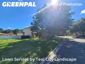 Grass Cutin Orange Park,32065,Lawn Care by Teal City Landscape , work completed in Oct , 2025