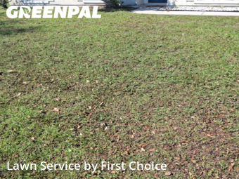 Lawn Cutting nearby Palm Coast, FL, 