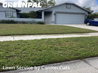 Yard Cutting nearby Bradenton, FL, 