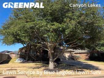Lawn Carein Cypress,77433,Lawn Mowing by Blue Lagoon Lawn Serv, work completed in Feb , 2026