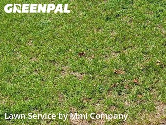 Grass Cut nearby Fayetteville, NC, 