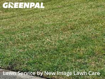 Lawn Mow nearby Orange Park, FL, 