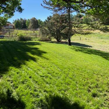 local-lawn-care-services-in-Highlands Ranch-CO