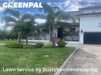 Lawn Cut nearby Saint Petersburg, FL, 