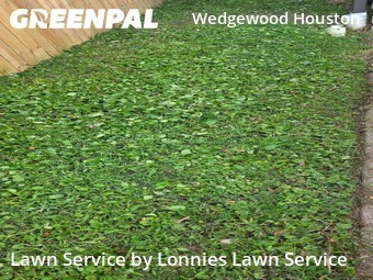 Lawn Maintenance nearby Nashville, TN, 