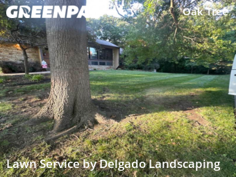 Lawn Care nearby Overland Park, KS, 