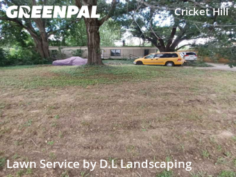 Lawn Service nearby Spring, TX, 