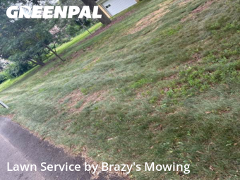 Lawn Mowing nearby Westland, MI, 