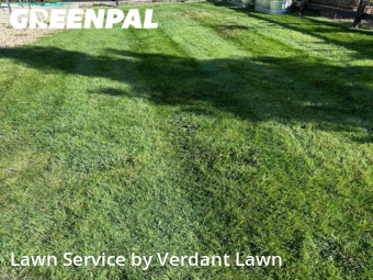 Lawn Maintenance nearby Fort Collins, CO, 