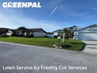Grass Cut nearby Lakeland, FL, 