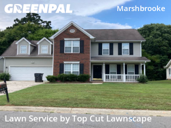 Lawn Mowing nearby Matthews, NC, 