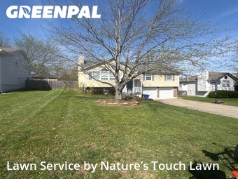 Lawn Cutting nearby Lees Summit, MO, 