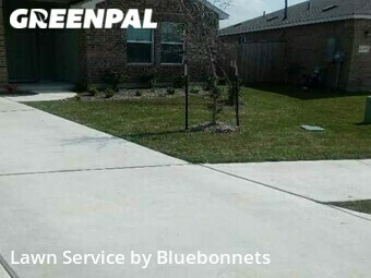 Grass Cut nearby Hutto, TX, 