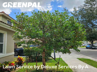 Garden Trimming in Coconut Creek, 33073, Lawn Management by Deluxe Services By A, work completed in Nov , 2025