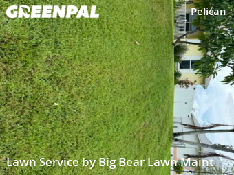 Grass Cut nearby Cape Coral, FL, 