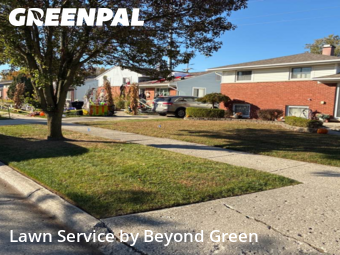 Turf Services in Taylor, 48180, Turf Services by Beyond Green, work completed in Dec , 2025