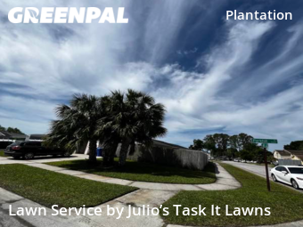 Lawn Mowing nearby Tampa, FL, 