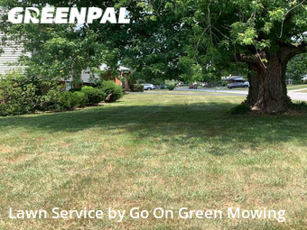 Lawn Mow nearby Hollins, VA, 