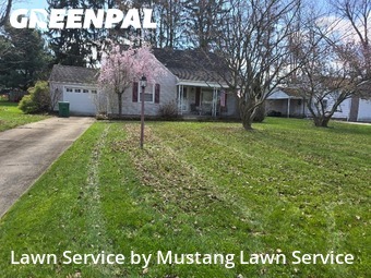 Yard Cutting nearby Youngstown, OH, 