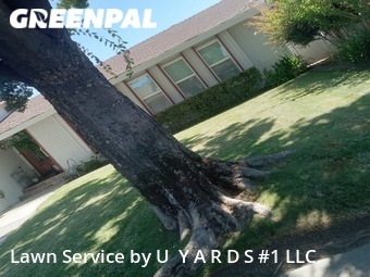 Lawn Maintenance nearby Modesto, CA, 