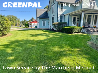 Yard Mowing nearby Plainfield, IL, 