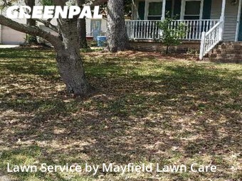 Grass Cut nearby Chesapeake, VA, 