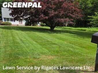 Lawn mowed in Colchester, 6415
