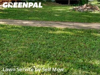 Grass Cutting nearby Butler, MO, 