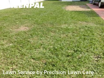 Lawn Mowing nearby St. Petersburg, FL, 