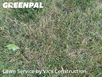 Lawn Cut nearby Joliet, IL, 