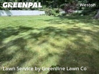 Lawn mowed in Weston, 6883