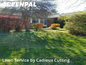 Grass Cut nearby Rochester Hills, MI, 
