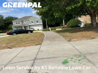 Lawn Cut nearby Clermont, FL, 