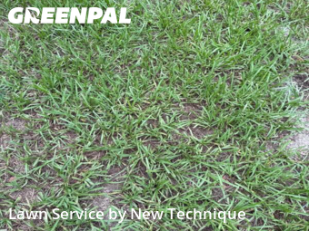 Yard Mowing nearby Lake Mary, FL, 