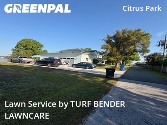 Lawn mowed in Westchase, 33626