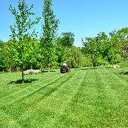 local-lawn-care-services-in-Issaquah-WA